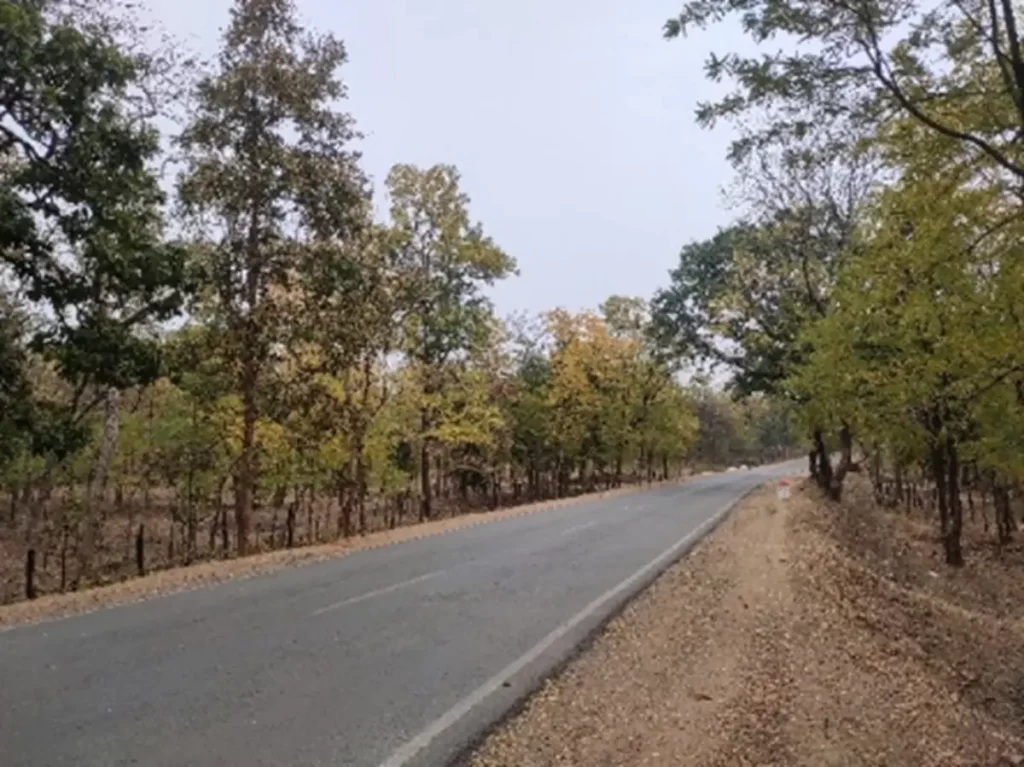 bastar road